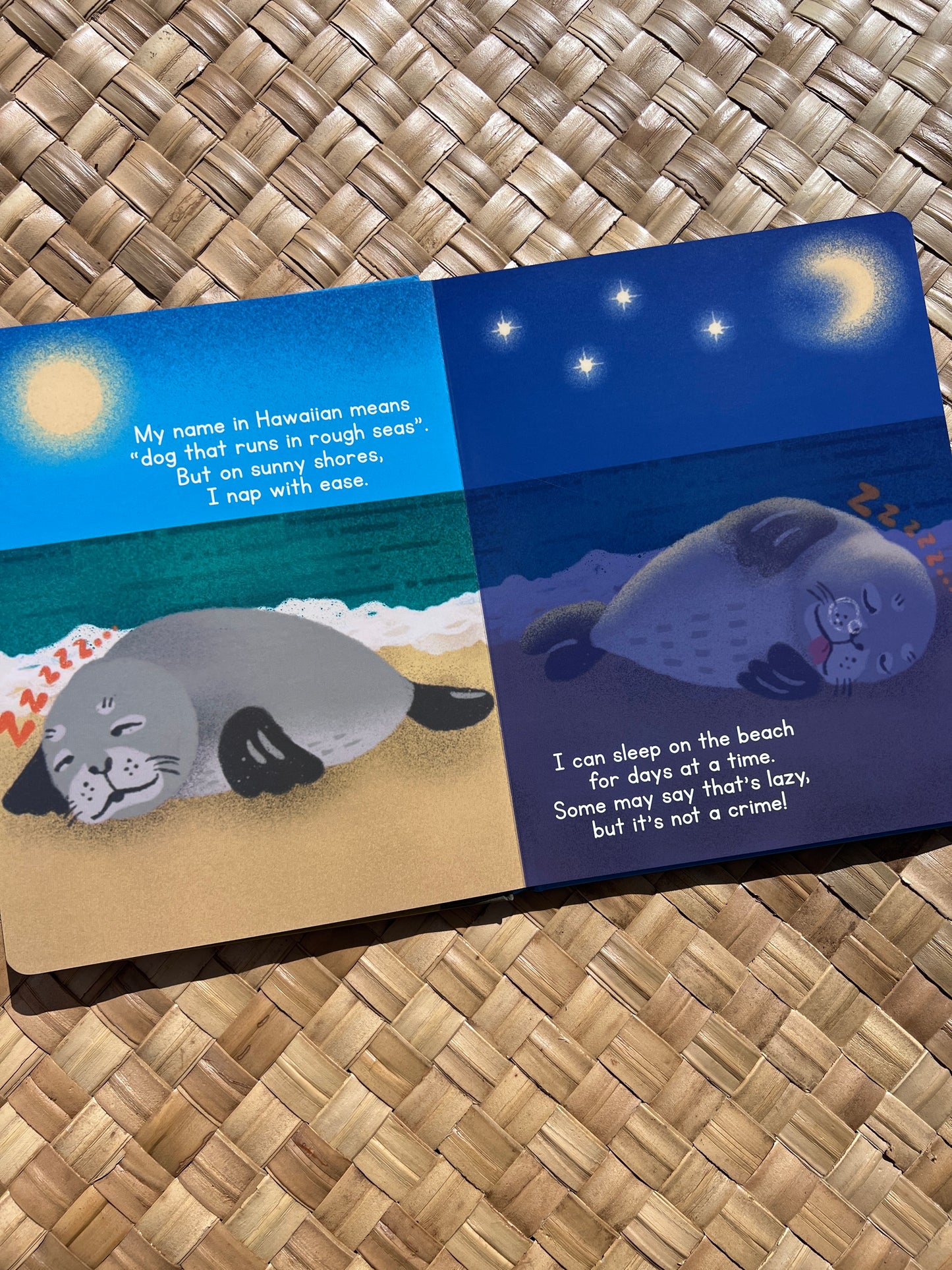 Don't Touch Me, Brah! Book