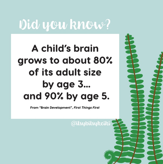 Did You Know? Brain Size by Age 3 & 5